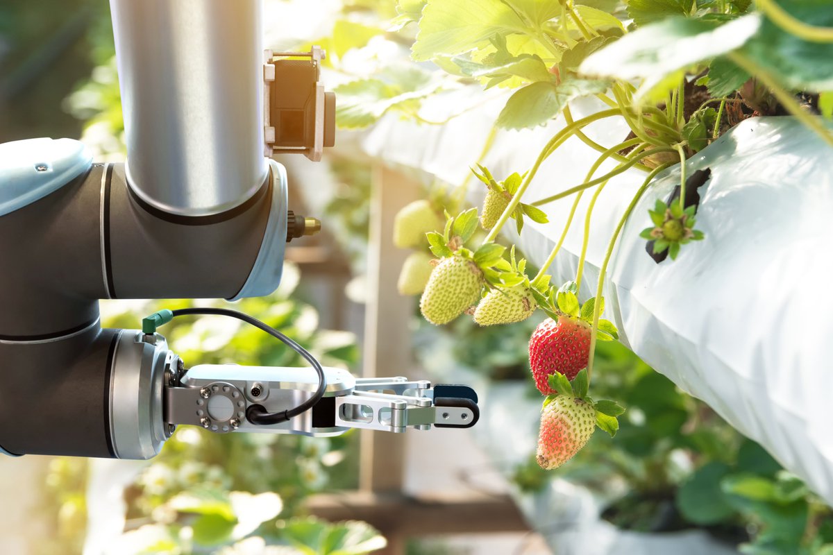 Farming robots are about to take over our hydroponic farms.