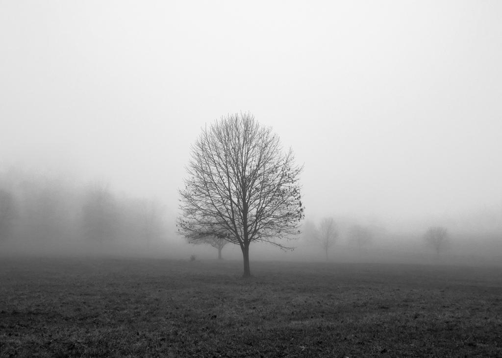 DocSing22's tweet image. Self-portrait