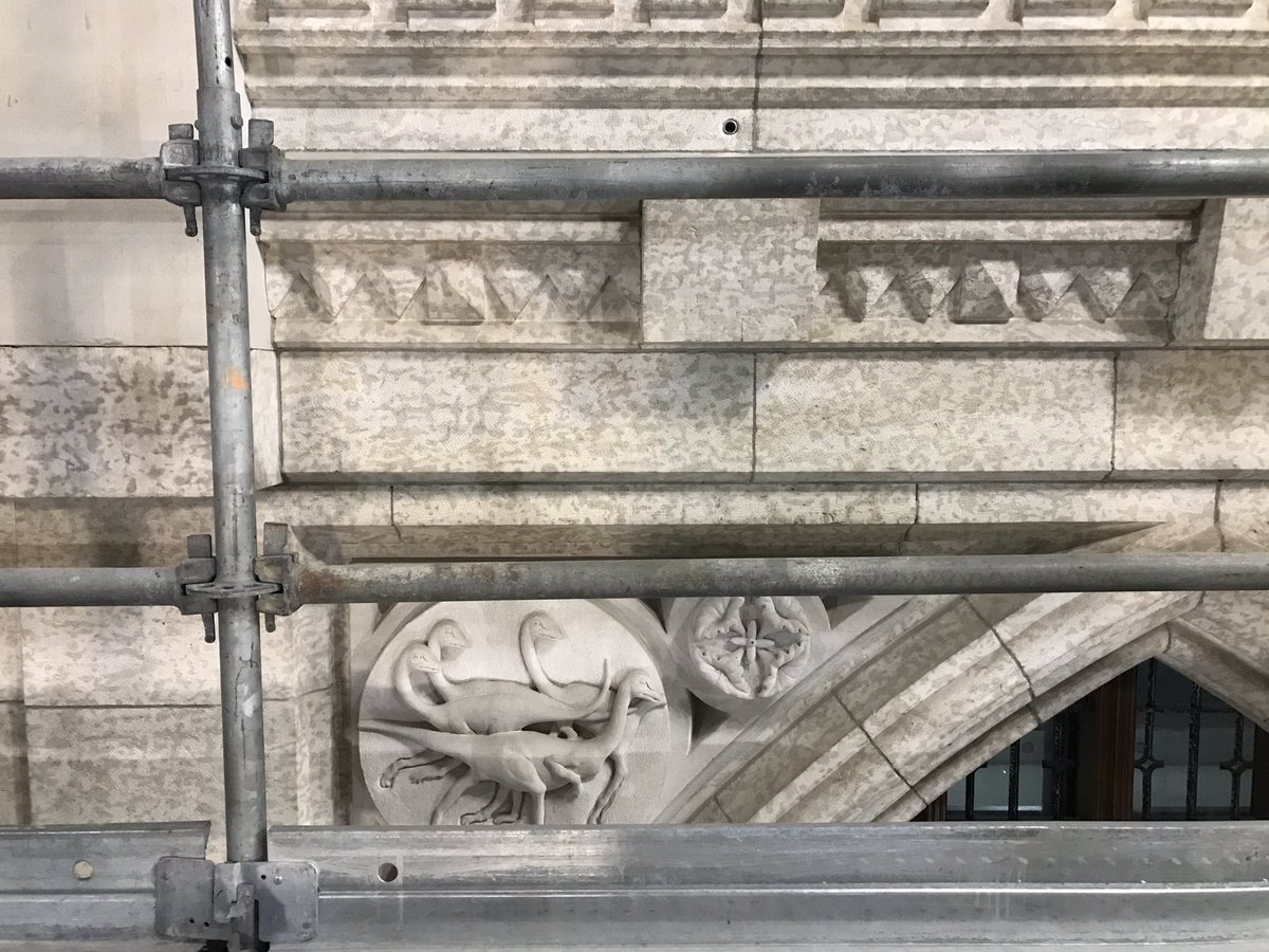 Being up on the scaffolding have an opportunity to see carvings in the Chamber (and elsewhere in the building) up close. In turn, TIL there are dinosaurs in the House! They’re part of an “evolution of life” series and line the top of the southern wall  #cdnpoli