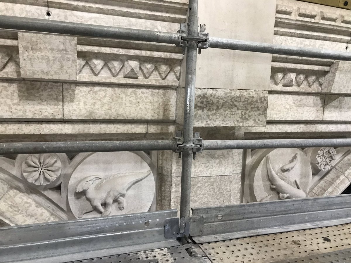 Being up on the scaffolding have an opportunity to see carvings in the Chamber (and elsewhere in the building) up close. In turn, TIL there are dinosaurs in the House! They’re part of an “evolution of life” series and line the top of the southern wall  #cdnpoli