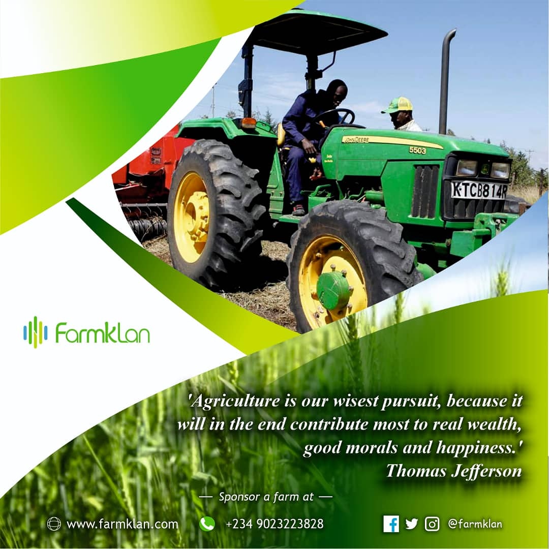 farmklan's tweet photo. A sage with insightful nuggets transcends ages. Invest in agriculture today. Meet us at https://t.co/HjVBlEZLyT.
#farmklan 
#agribusiness 
#FoodSecurity https://t.co/7wgDxOa9bM
