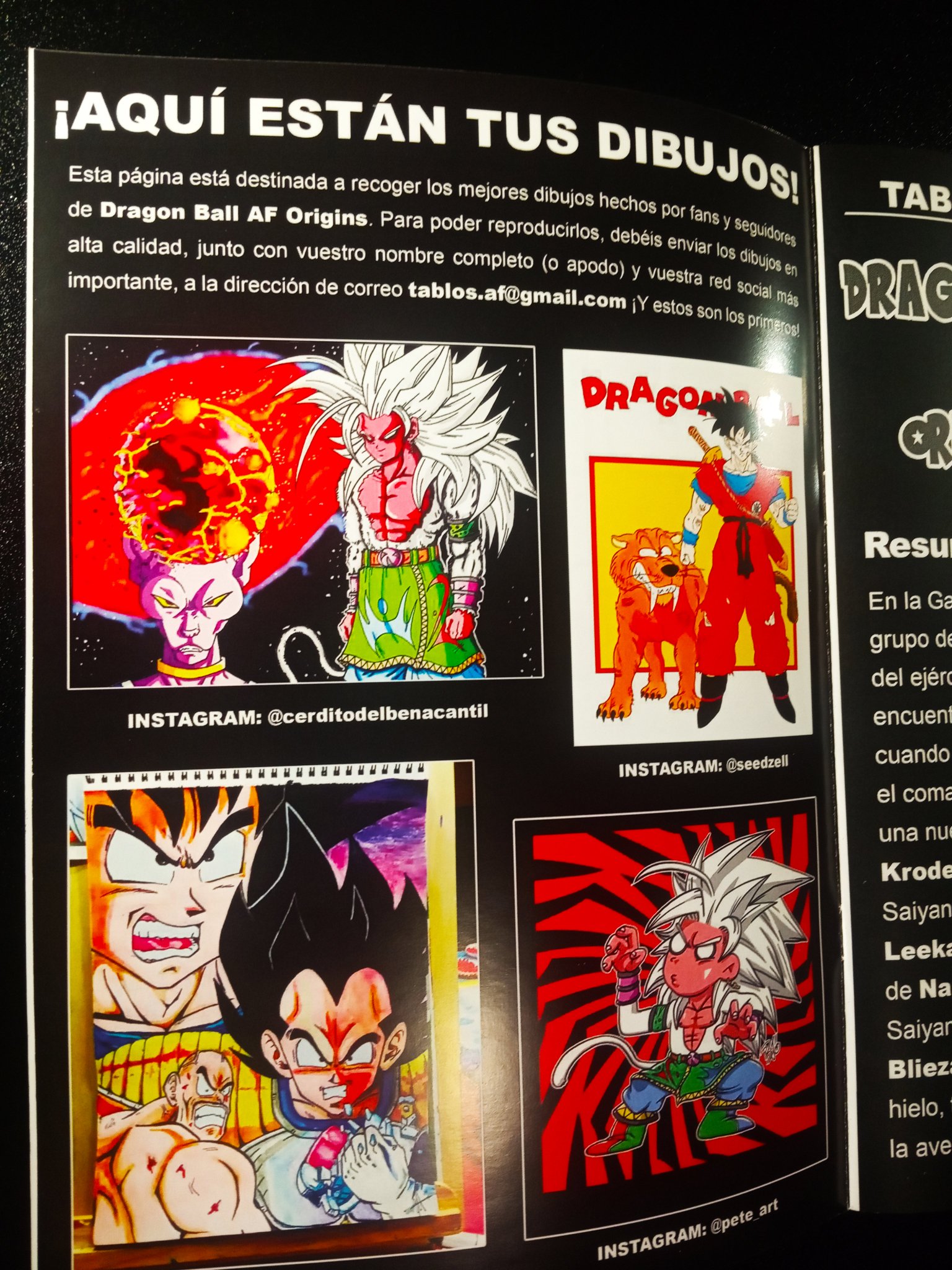 DRAGON BALL AF ORIGINS. This panel - Tablos DBAF Origins