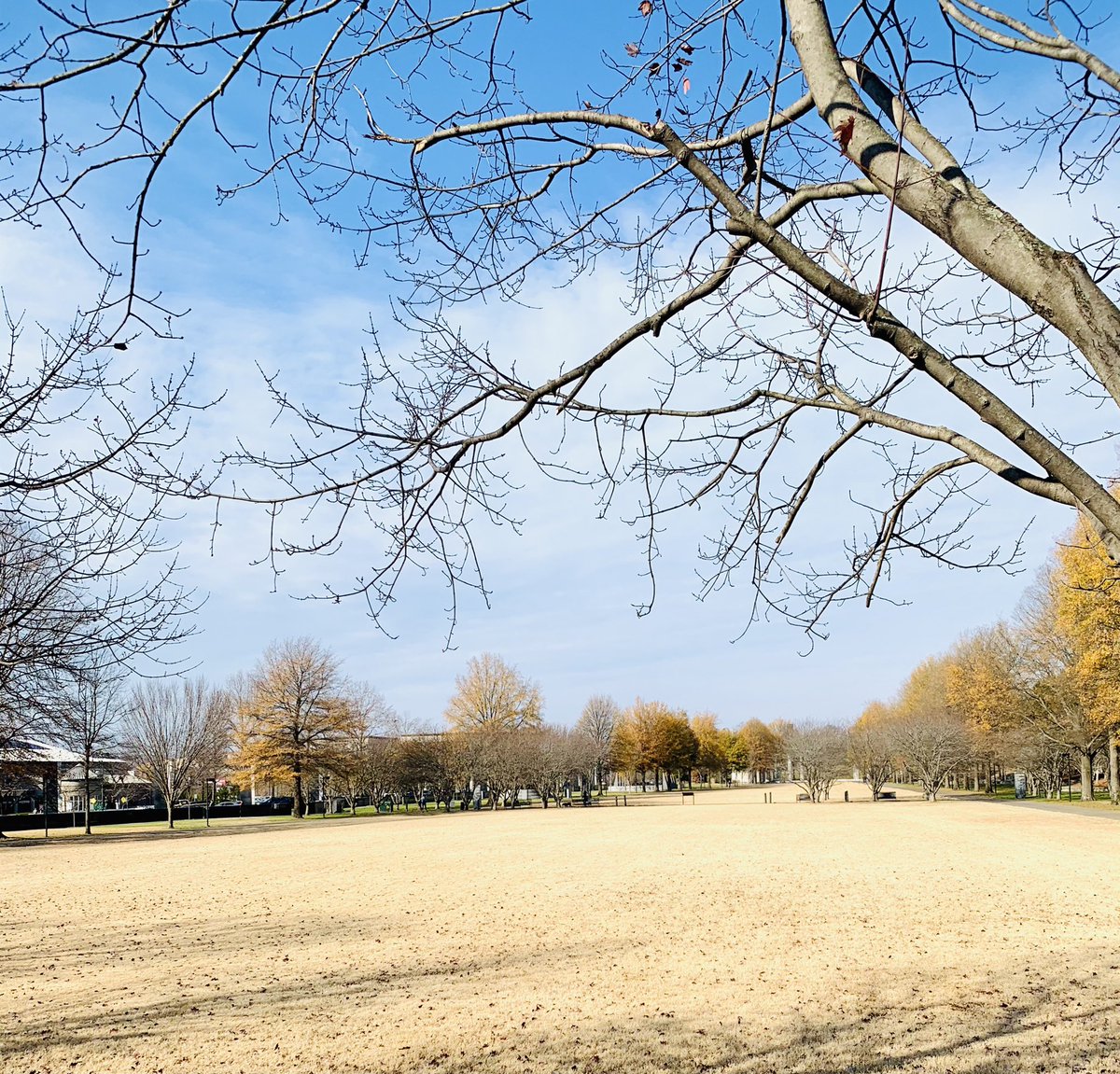 Instead of tweeting photos of the Battle of Nashville, something different this time. The grounds  where once the Union soldiers played baseball 1/  https://twitter.com/astoraaron/status/1338854330263343110