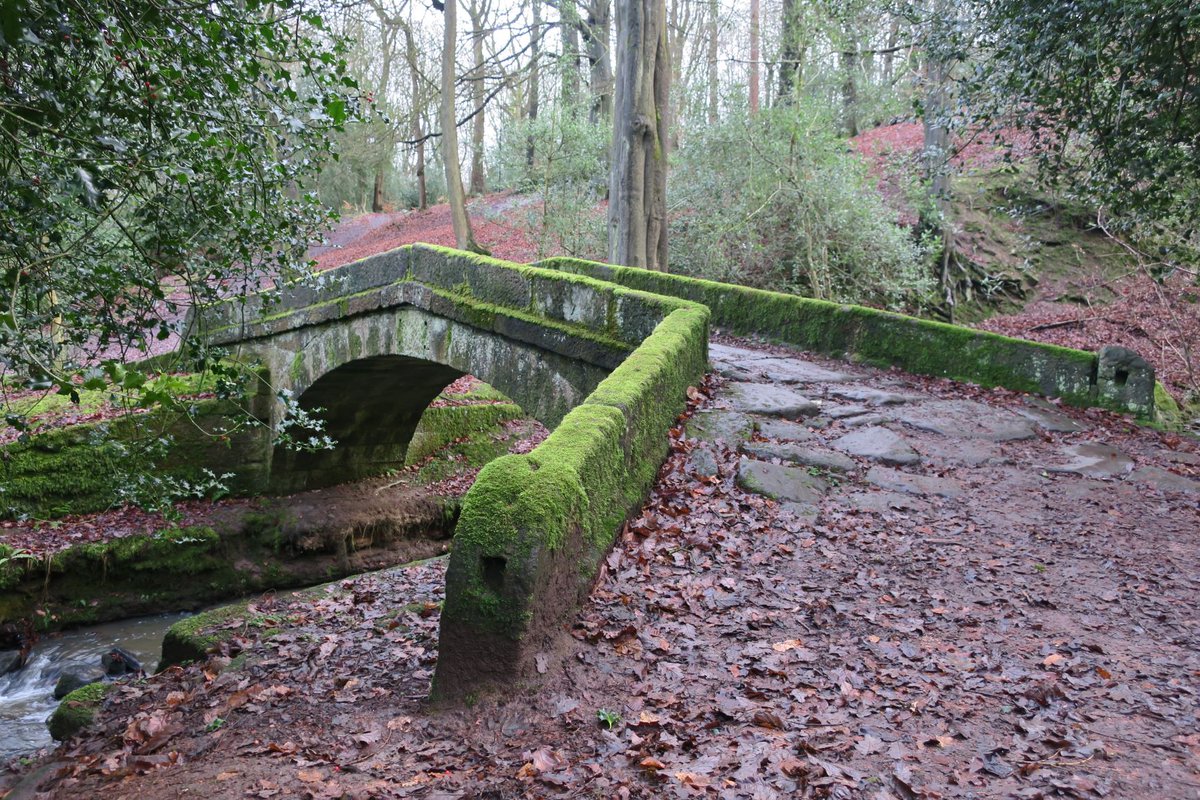 steel_valley's tweet photo. Looking for a walk in the north Sheffield area? You can download 6 free of charge from our website, 
varying in length from 3-10 miles. 

This picture was taken on the Glen Howe walk (3 miles).

https://t.co/eYxu4tGegC 

#sheffield #walks #theoutdoorcity https://t.co/uzycjAMoUz