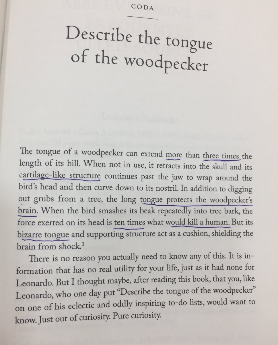 BONUS "The tongue of the Woodpecker"