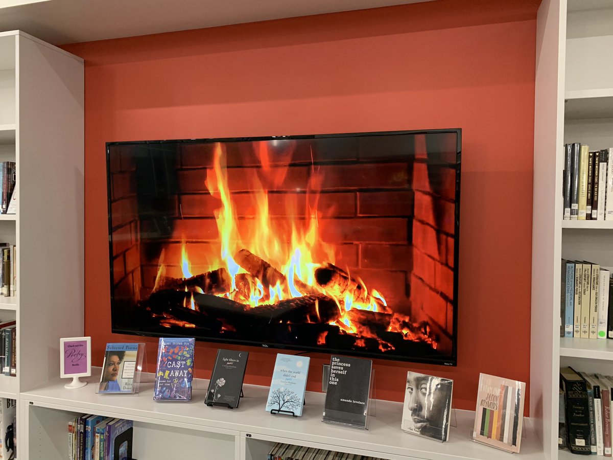 It’s a great day to swing by the library and find a great book. While you are here...be sure to sit by the fire and read a bit. #librarylife #curlupwithagoodbook #dragonslovefireandbooks 🐉❤️📚