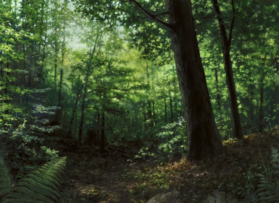 8/8 Lands:Forest 247 by Steve BelledinMountain 346 by Tony Szczudlo"Evolving Wilds" by Christine Choi"Thornwood Falls" by  @EytanZana  #mtg    #mtgart