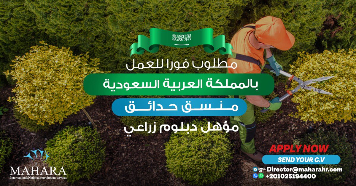 MaharaEgypt's tweet photo. مطلوب فوراً
 المملكة العربية السعودية 🇸🇦 
منسق حدائق 
مؤهل: دبلوم زراعي
خبرة لا تقل عن ٥ سنوات في فنادق ٥ نجوم في زراعة و تجميل الحدائق
حاصل علي رخصة قيادة 
العمر بين ٣٥ الي ٤٥ سنة 
Send your CV Whatsapp 📲
+1001025194400 https://t.co/tw2MQ8qc93