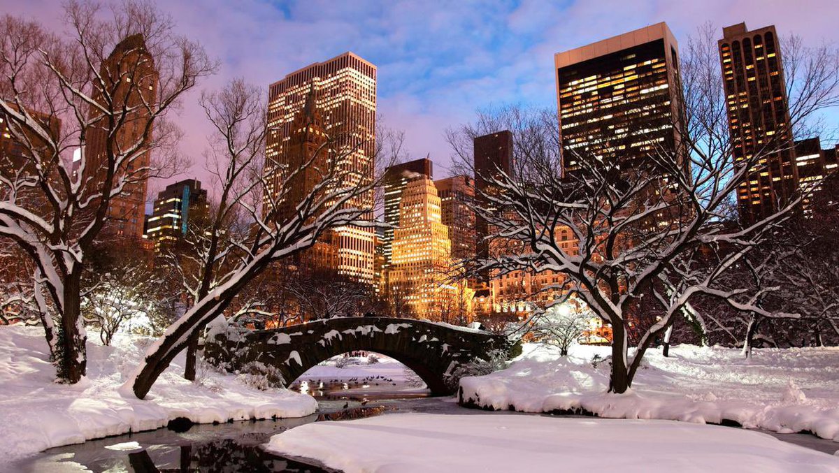 jodesangel's tweet photo. i want to spend a christmas in new york https://t.co/04SpZafvRV