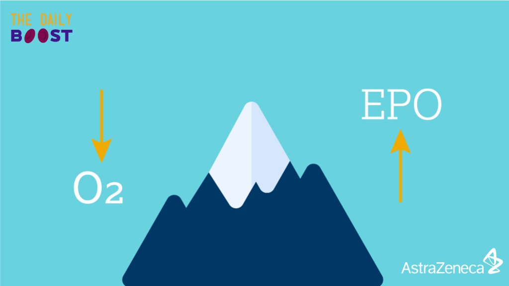 AstraZenecaUS's tweet photo. DAILY BOOST: In 1890, Francois-Gilbert Viault first described the relationship between oxygen (O2) content of the blood and erythropoietin (EPO) on a journey to Peru’s highlands. He found that a fall in tissue O2 pressure stimulated EPO expression. #dailyboost https://t.co/rKhRg0nFyk