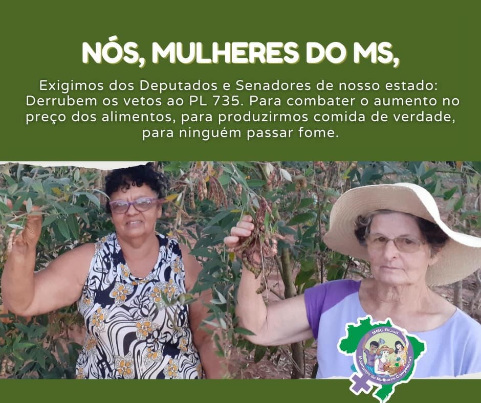 mmcnacional's tweet photo. 🔴Camponesas do MS em luta!
Em todo o país, o MMC segue na luta pela derrubada dos vetos ao #PL735.
🚩Defenda a agricultura camponesa! Pressione nas redes de deputados/as e senadores/as do seu estado pela derrubada dos vetos.
#CongressoDerrubeVetos735 #SemVetosSemFome https://t.co/4AXYF6FHCr