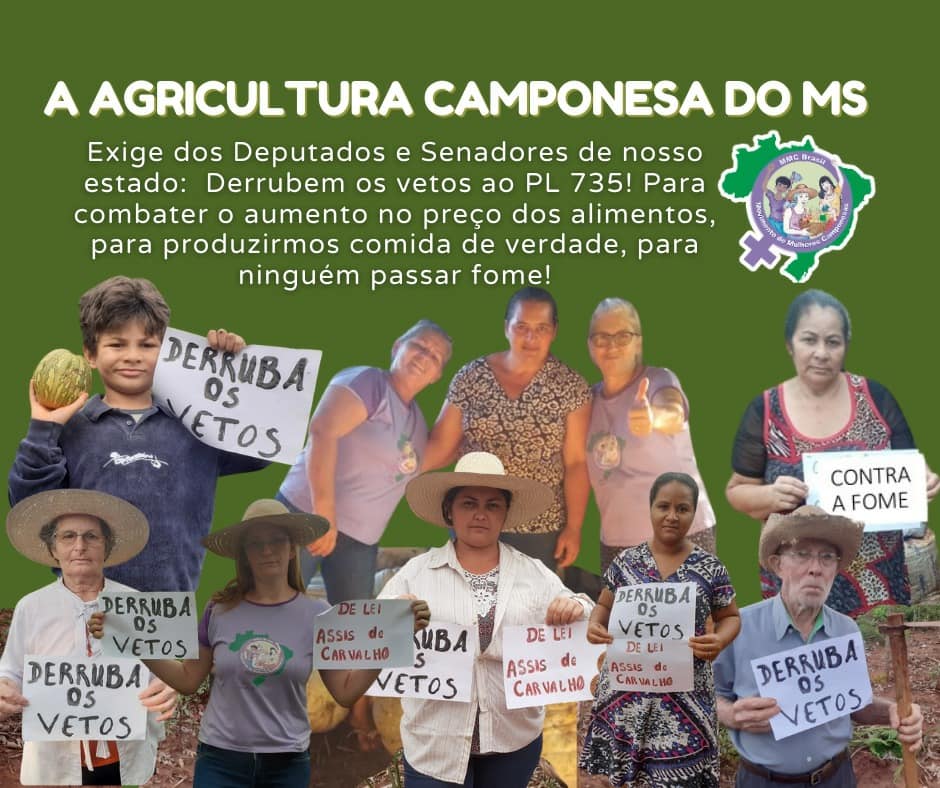 mmcnacional's tweet photo. 🔴Camponesas do MS em luta!
Em todo o país, o MMC segue na luta pela derrubada dos vetos ao #PL735.
🚩Defenda a agricultura camponesa! Pressione nas redes de deputados/as e senadores/as do seu estado pela derrubada dos vetos.
#CongressoDerrubeVetos735 #SemVetosSemFome https://t.co/4AXYF6FHCr