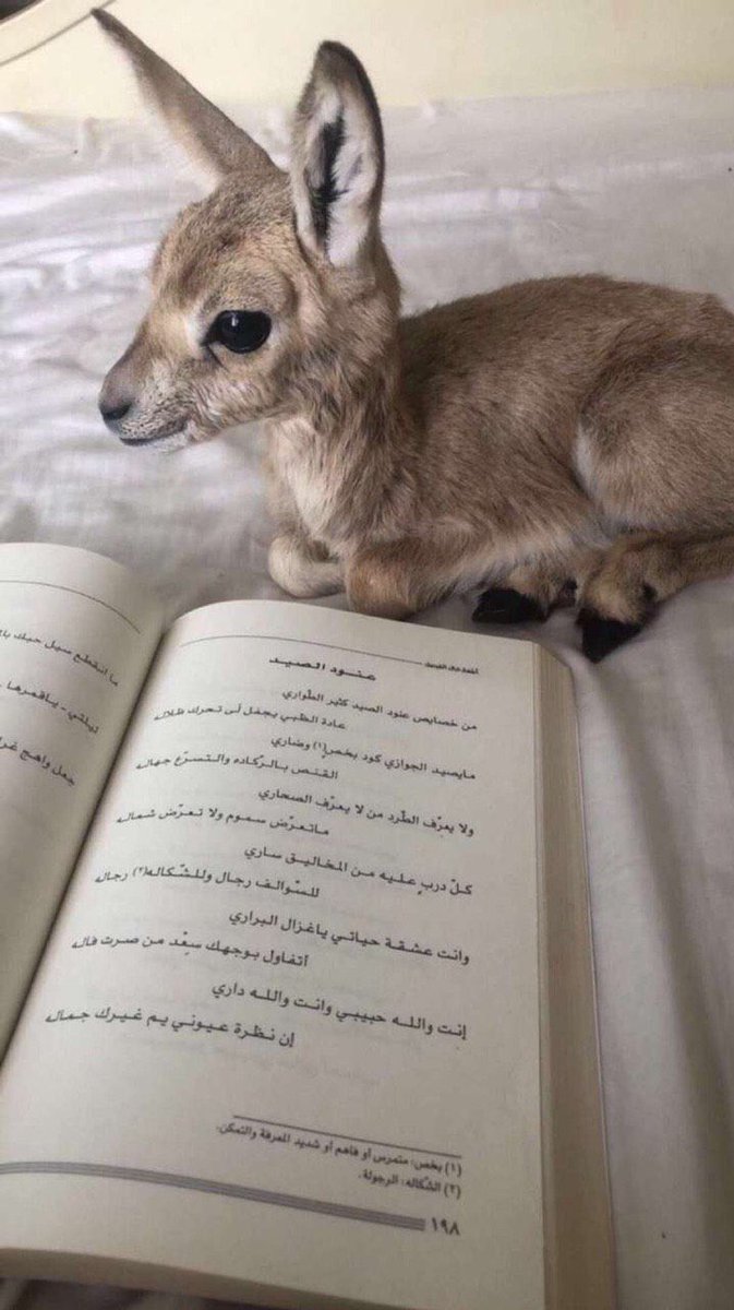 3% (@iiil6e) on Twitter photo 