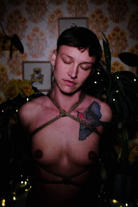 Old ones, of my dearest Miauleks in my ropes, photographed by Shantel Liao ❤️ https://t.co/N6WpNDou1<a href="/tag/shibari"class="tags"><span>#shibari</span></a><a href="/tag/performanceart"class="tags"><span>#performanceart</span></a><a href="/tag/calligraphy"class="tags"><span>#calligraphy</span></a>