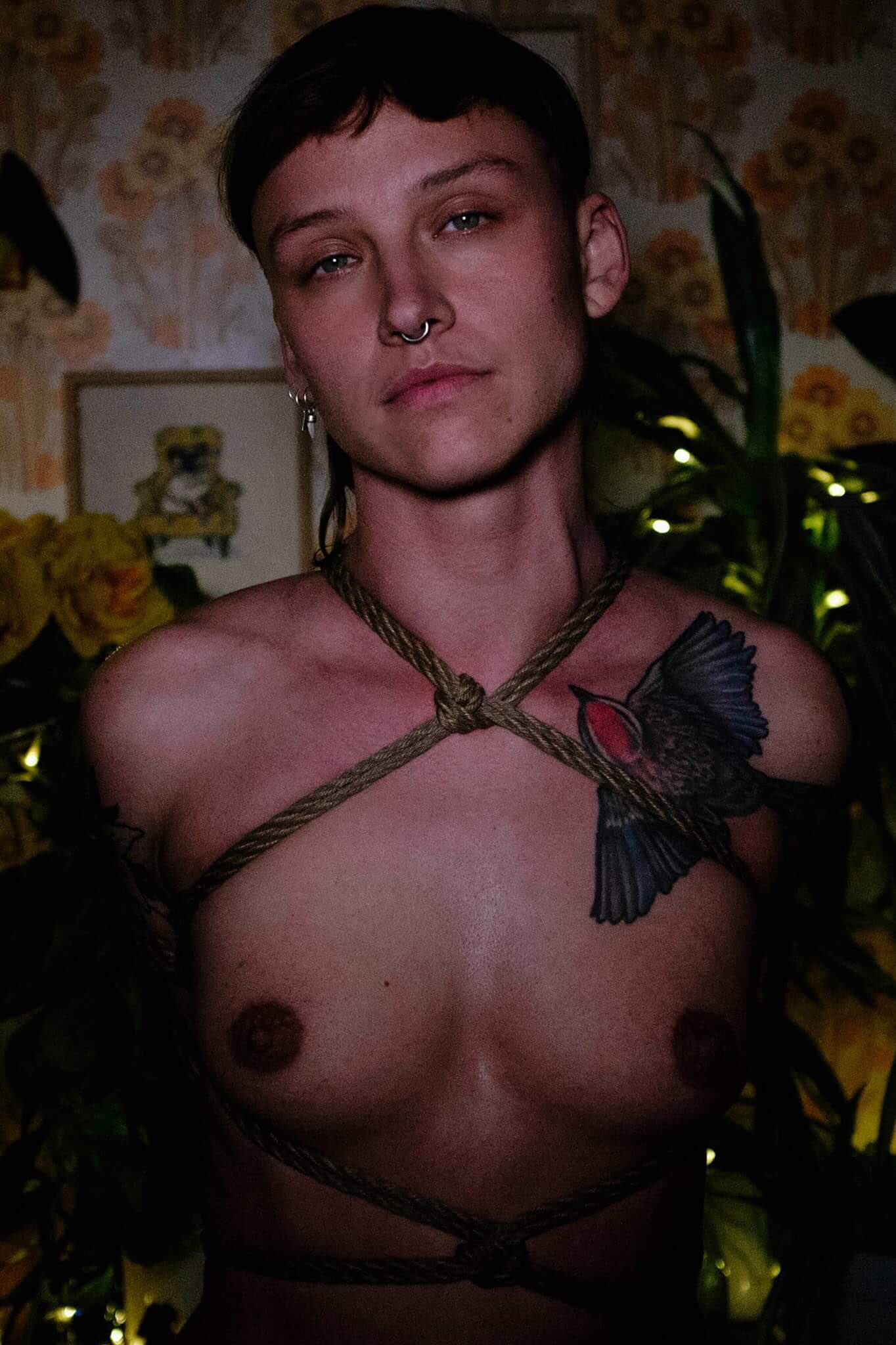3 pic. Old ones, of my dearest Miauleks in my ropes, photographed by Shantel Liao ❤️ https://t.co/N6WpNDou15
