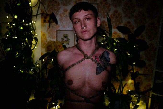 Old ones, of my dearest Miauleks in my ropes, photographed by Shantel Liao ❤️ https://t.co/N6WpNDou1<a href="/tag/shibari"class="tags"><span>#shibari</span></a><a href="/tag/performanceart"class="tags"><span>#performanceart</span></a><a href="/tag/calligraphy"class="tags"><span>#calligraphy</span></a>