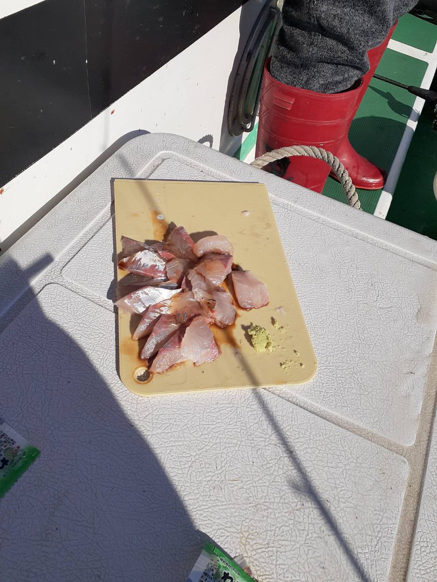 16Champion1's tweet photo. 釣り🎣 捌いて焼きました笑 https://t.co/6nROQWkD9L