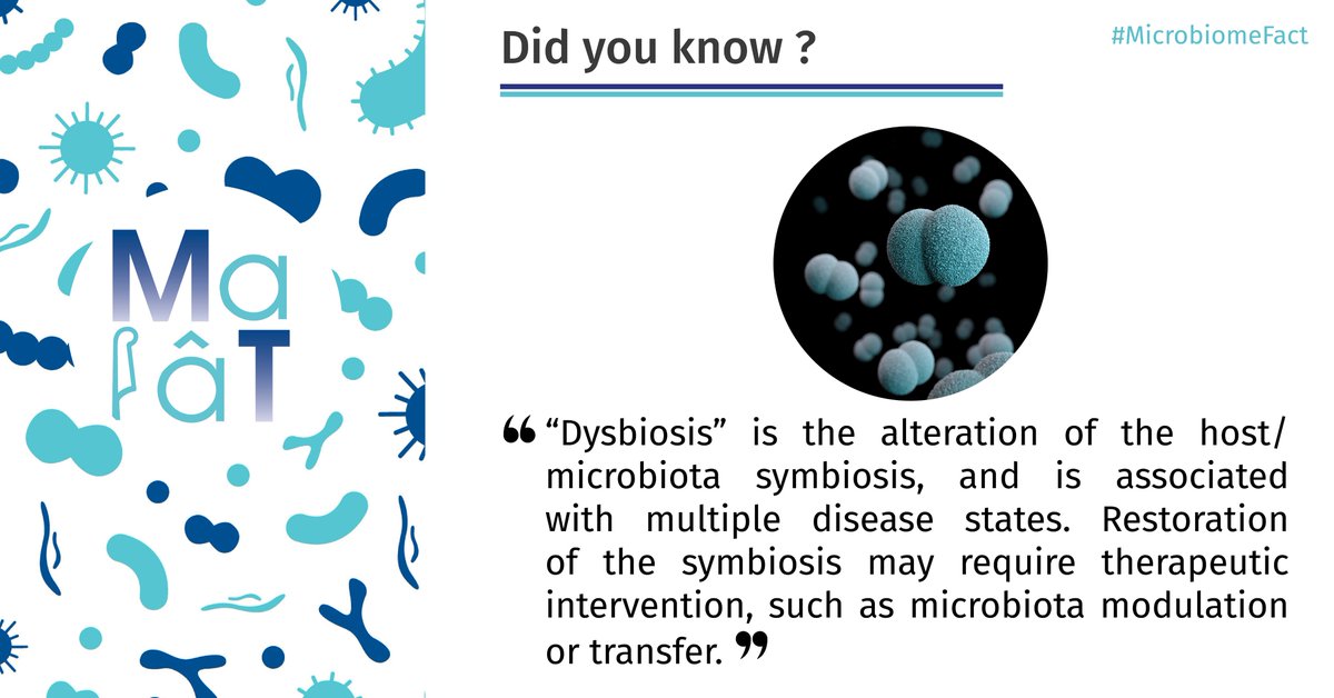 MaaT_Pharma's tweet photo. Today's #MicrobiomeFact explains #Dysbiosis, building upon a great article by @Florent_Malard Dr Béatrice Gaugler @dorejoel and @Mohty_EBMT in @MucosalImmunol #Microbiome #Health https://t.co/RHpYOsOxKo