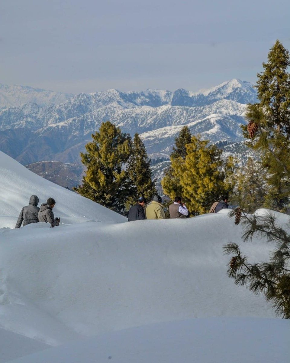 PakinFrance's tweet photo. Beautiful view of Malam Jabba, Swat 🇵🇰
#BeautifulPakistan https://t.co/A23iTsHcYE