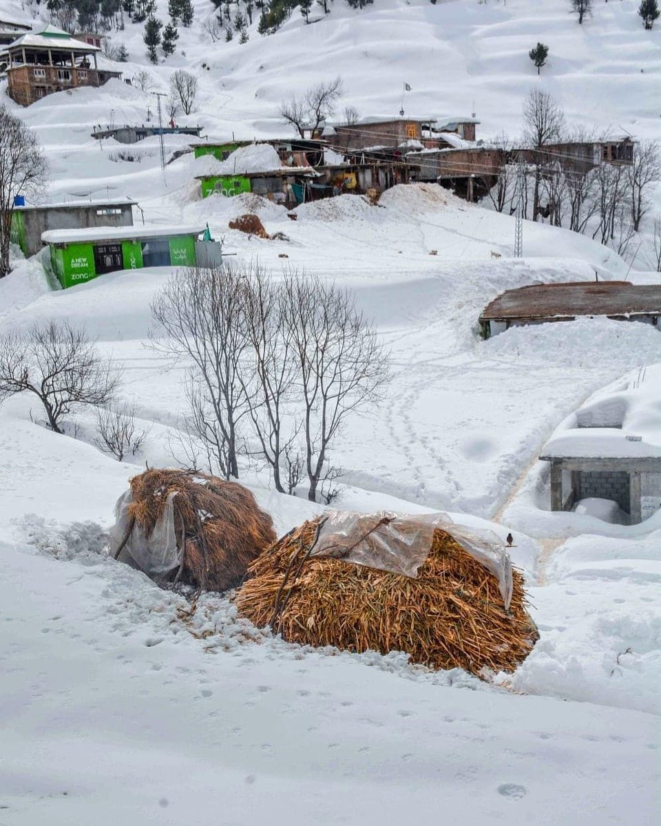 PakinFrance's tweet photo. Beautiful view of Malam Jabba, Swat 🇵🇰
#BeautifulPakistan https://t.co/A23iTsHcYE