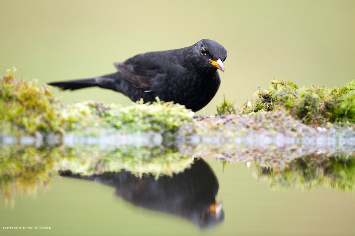 However, this was particularly low this year, but why?