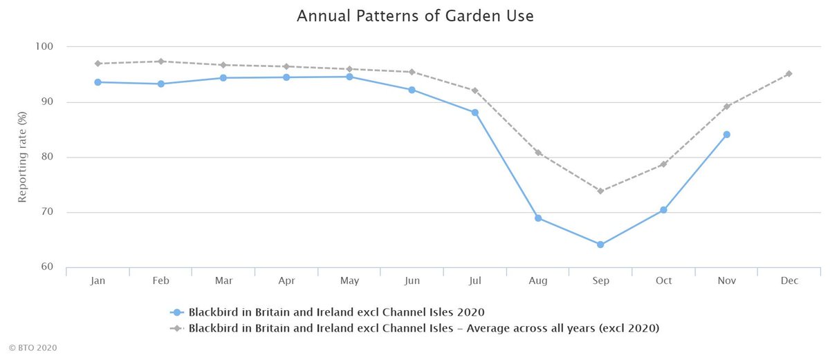 We began 2020 with slightly lower reporting rates for Blackbirds than a typical, but only by a few percent. We then saw the hot, dry spring during April and May. This is a peak time for breeding Blackbirds, when many will be attempting their first brood for the year.