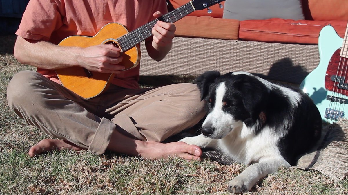 bananacactusuke's tweet photo. 🍳🐶 NEW VIDEO 🐶🍳

TBJ 013: An instrumental uke cover of Sofia by @clairo 

Featuring sampled drums made from various cooking sounds, a dog playing a cardboard Moog synth bass, and more! 

📺 Watch here: https://t.co/QkZ6JKKoqY https://t.co/S8SFei8tpu