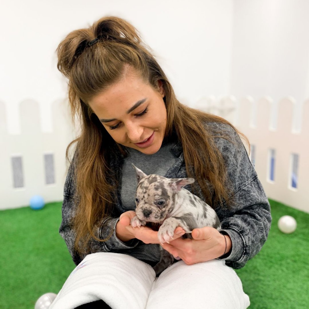 FewandFar_Team's tweet photo. Mondays. 🙃
Mondays with doggos. 🙂

A big thank you to @pawsinwork for gifting our team a free puppy therapy session yesterday. Talking about the cutest way to reduce stress levels and anxiety! 🐶

#MentalHealthMatters #recruitertwitter #dogsoftwitter https://t.co/fZmvhO4zII