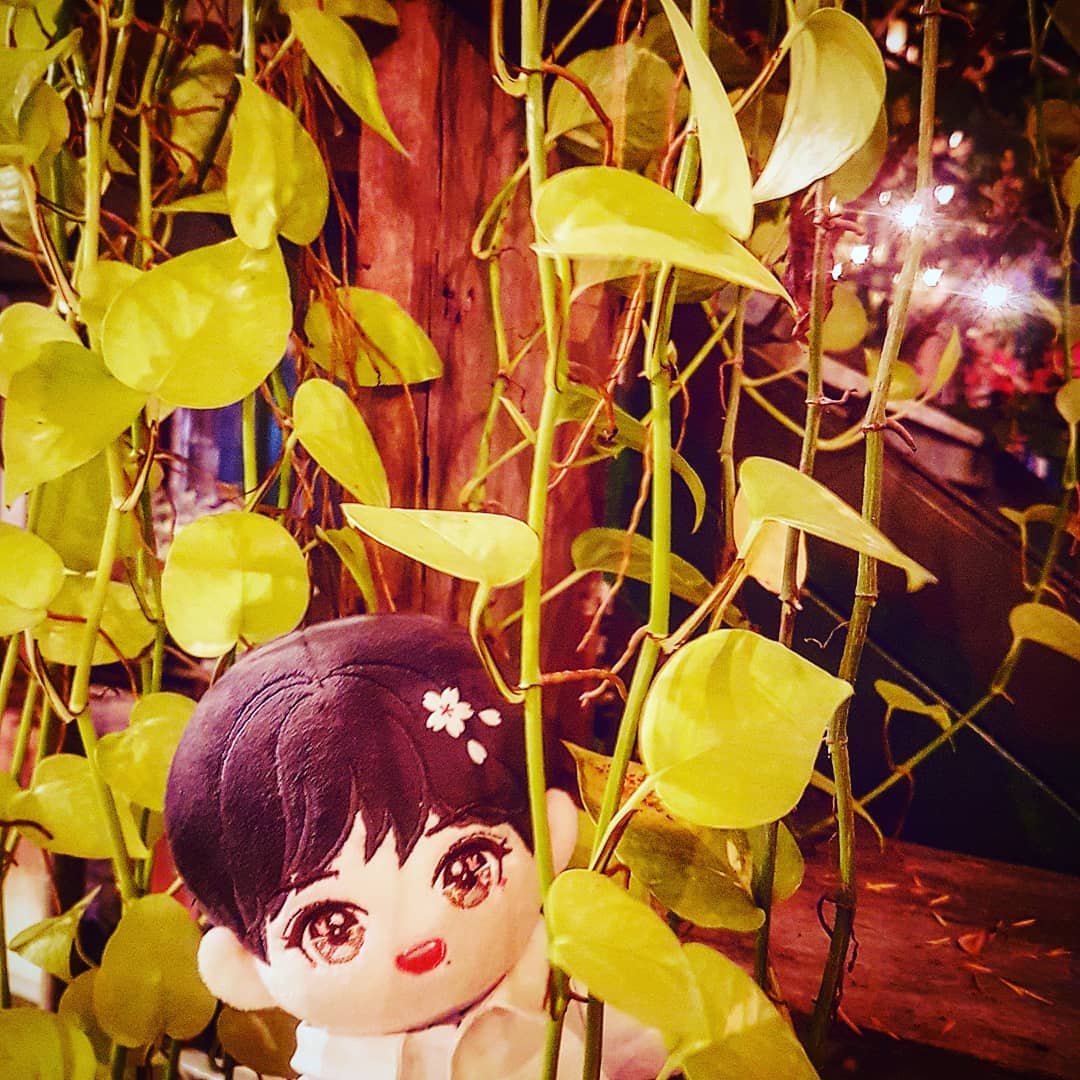 jaebysaranghae1's tweet photo. #BJYXSZD 
#XIAOZHANDOLL 
#XIAOZHAN 
Dr Wu https://t.co/FQC71Oo97W