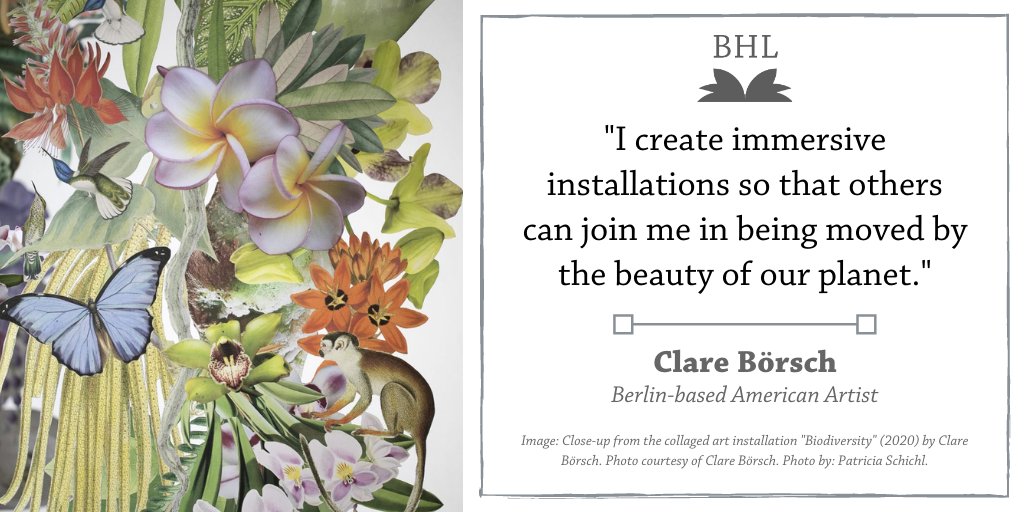 Graphic with quote from Clare Borsch.