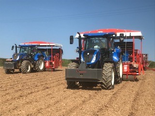 This year has seen <a href="/Riviera_Produce/">Riviera Produce</a> invest in two new automatic planters, this has made a significant difference in the way that we plant the seedlings by increasing productivity, improving crop uniformity and reducing the need for labour. <a href="/FerrariSrl/">Ferrari Growtech</a>