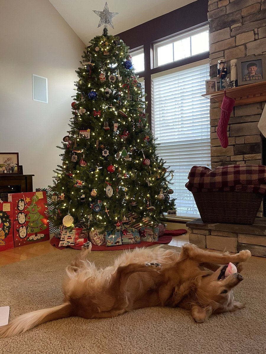 TourdeShadow's tweet image. Early morning energy! #playing #Shadtastic #youngatheart