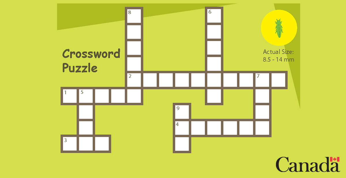 InspectionCan's tweet photo. Pardon the pun, but this emerald ash borer crossword has us stumped. π² Can your #JuniorCFIA scientist(s) solve the mystery?
#VirtuallyTogether #C360 https://t.co/jRKNanPOfs https://t.co/GfWySjic88