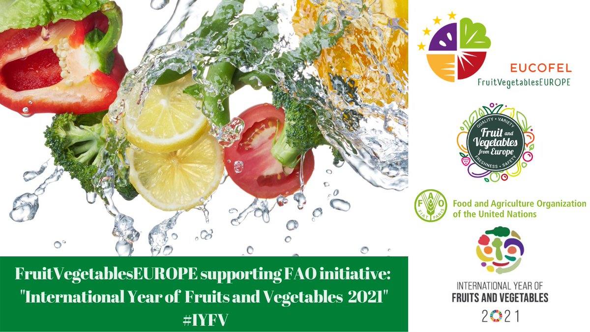 FruitvegEUROPE's tweet photo. 📢FruitVegetablesEUROPE supporting @FAO initiative:
"International Year of Fruits & Vegetables 2021".
✅Enjoy 2021 with #Fruit & #Vegetables from Europe🇪🇺‼️
#IYFV #CuTE #CuTESolar #CuTEHealthy #CuTE4You https://t.co/cyh6cnfZci