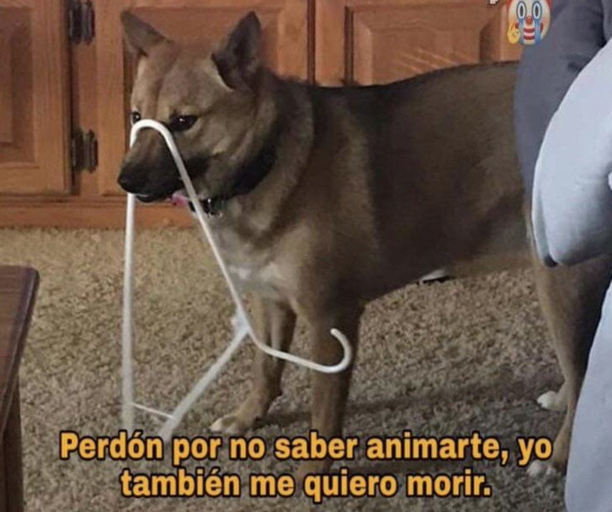 memes4love1's tweet photo. https://t.co/UOhQT0AkHm