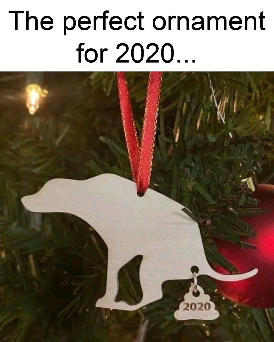Butlerballs's tweet photo. Nice gift for your tree @rickygervais 👌🐕💩 https://t.co/sZuORYSnDS