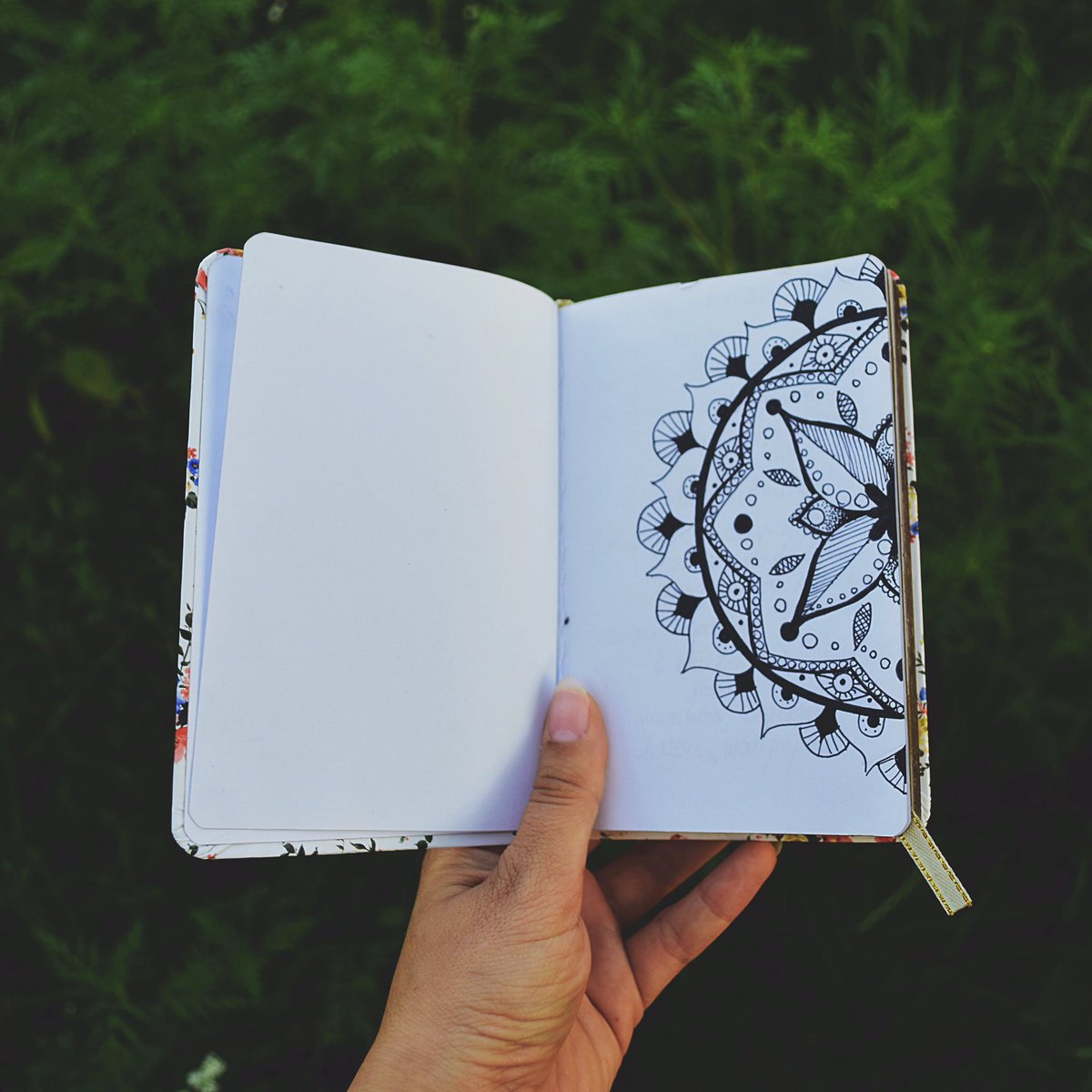 Take this opportunity to reflect on your plans for the new year. Now's the time.

📸: <a href="/Didssph/">diana</a>