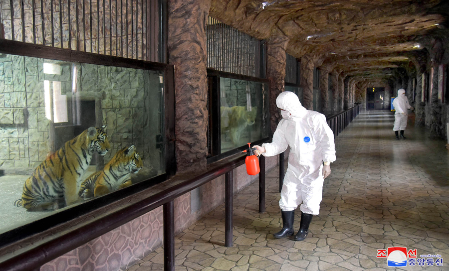 Os locais públicos foram desinfetados constantemente.