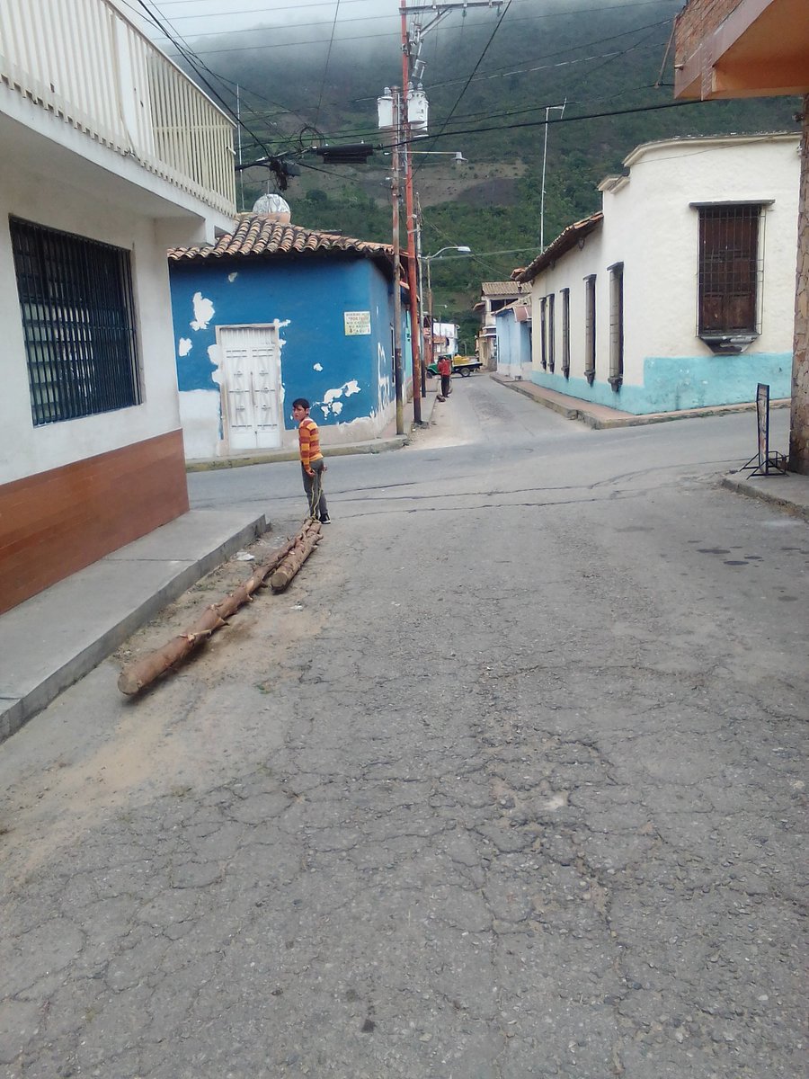 beribrio's tweet photo. Así este niño, en Timotes, arrastrando troncos para llevar leña a su casa. https://t.co/XG0OTGFl68