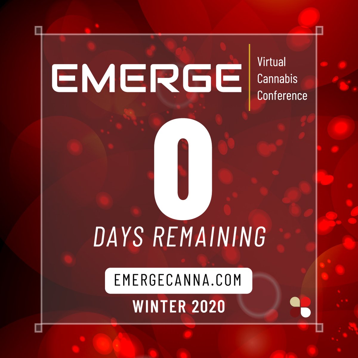 EmergeCannabis's tweet photo. HAPPENING NOW! Winter Emerge 2020 | The world's most IMMERSIVE, INTERACTIVE, 3D VR CANNABIS CONFERENCE | Dec. 15 - 17 with 90-Day ACCESS! Get your tickets NOW to Winter Emerge 2020 | https://t.co/9fOF2C09pl #emergecanna #emerge2020 #emergeVCC #winteremerge https://t.co/Y9Y3xUa29a