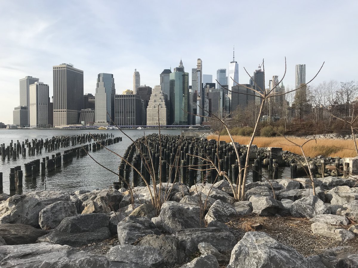 New Yorkers for Parks tweet media