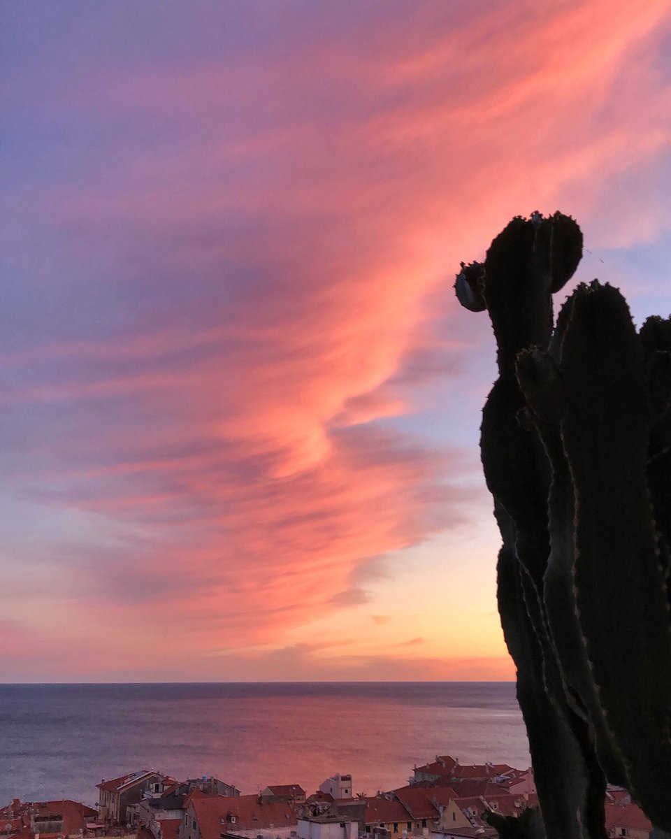 “Guarda che colori nel cielo: esprimi un desidero!”

Mi piace pensare che di fronte al cielo colorato siamo tutti lì, immobili con il naso all’insù, a dimenticare tutto il resto per quell’attimo di sogno...

#liguria #chiediloalladani