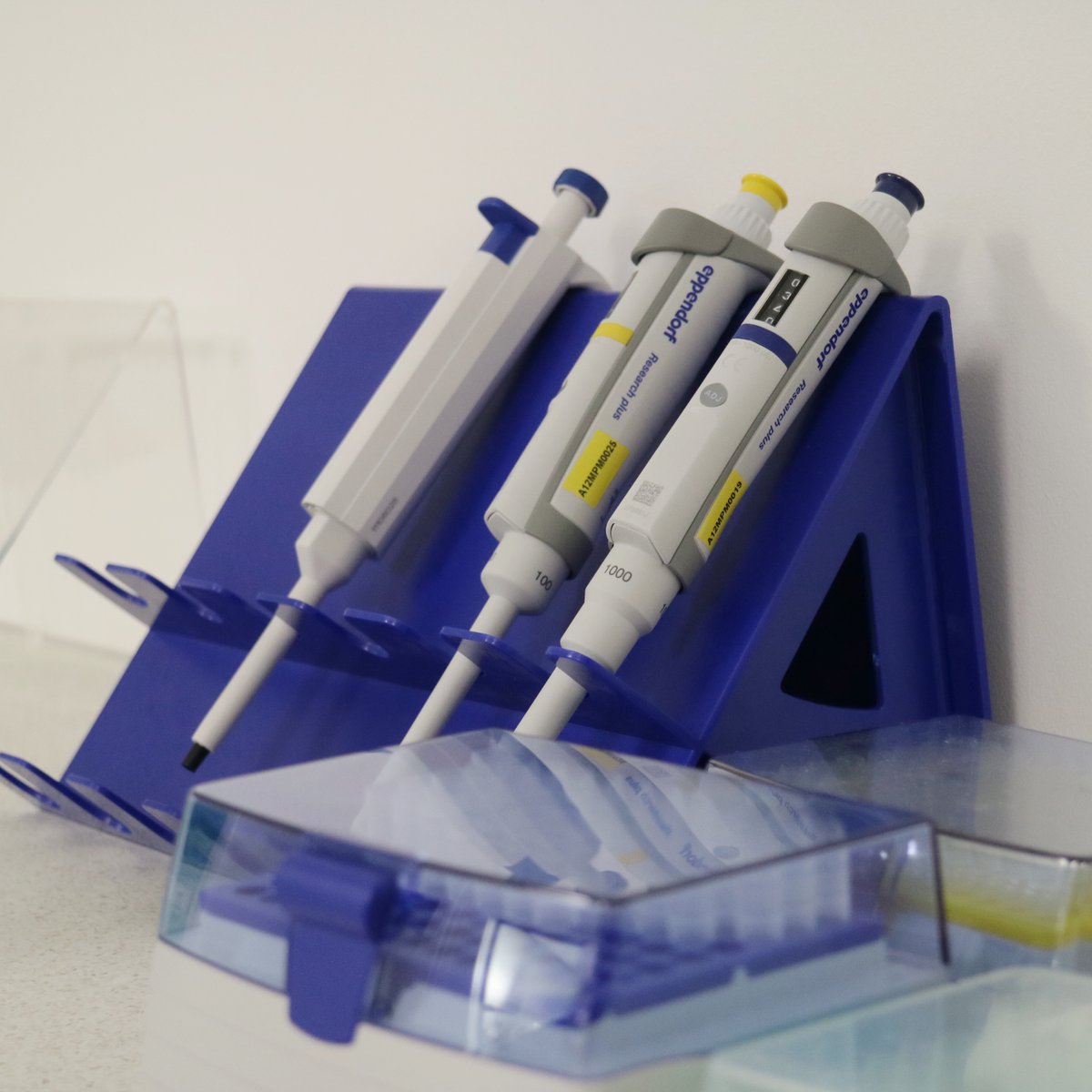 Biogroup_UK's tweet photo. Coming soon... We're ready for you, London! 🇬🇧 #BiogroupUK #CovidTesting #Covid19 #PCRCovidTesting https://t.co/X7ogsBir5h