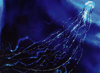 2/8 Blue:"Forbid" by Scott Kirschner"Mana Leak" by Christopher Rush"Wayward Soul" by DiTerlizzi"Man-'o-War" by Jon J Muth #mtg    #mtgart