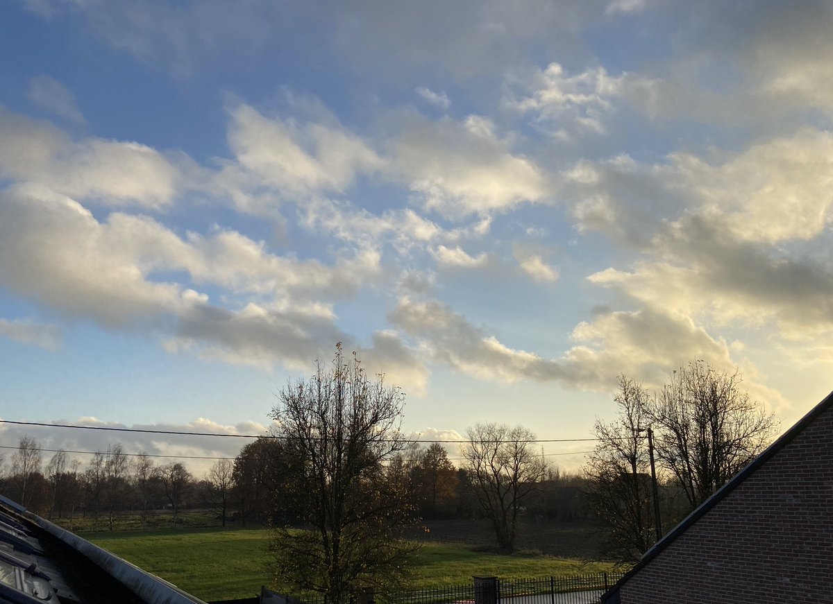 Ann Vandeput tweet media