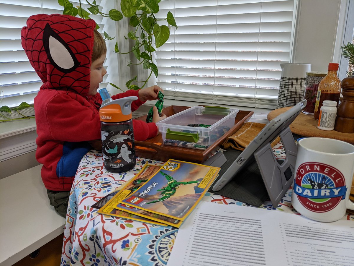 KBachVMD's tweet photo. How's your Tuesday going? I think Jack has the #WorkFromHome life down better than I do. All I can say is, thank goodness for Legos. @jdairyscience might not get this review back from me if it weren't for them 🤦‍♀️ #covidlife #workingmom #dairyscience https://t.co/pcjufq9g50