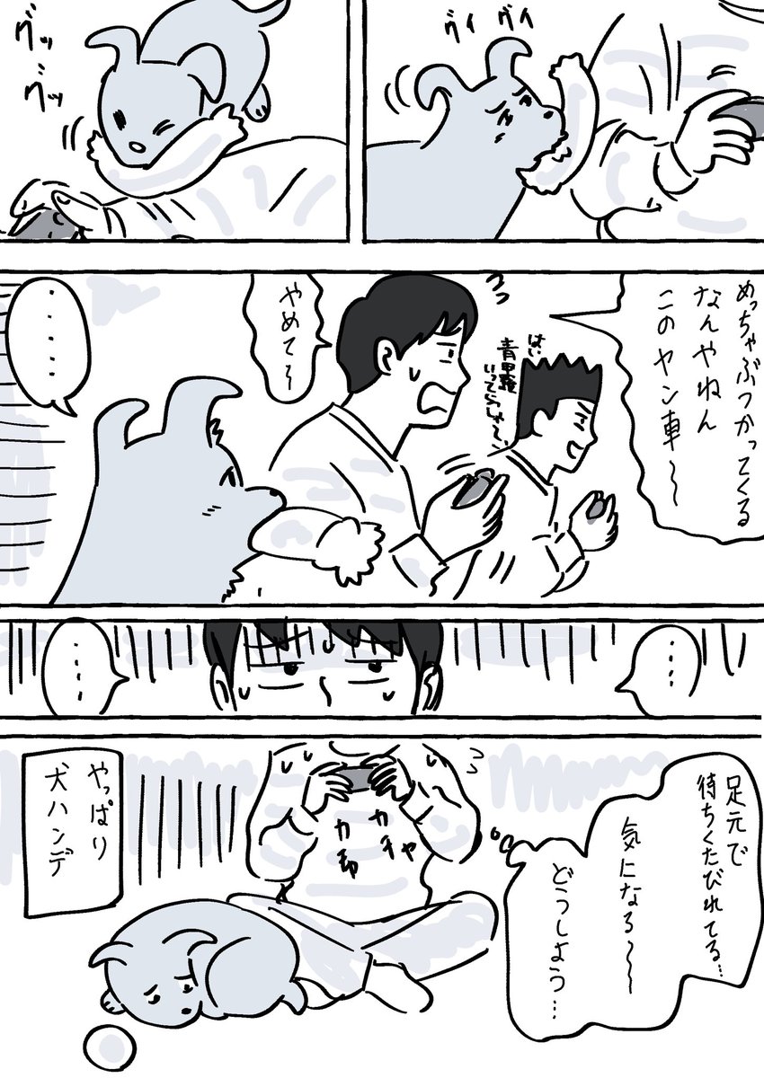 犬ハンデ② 