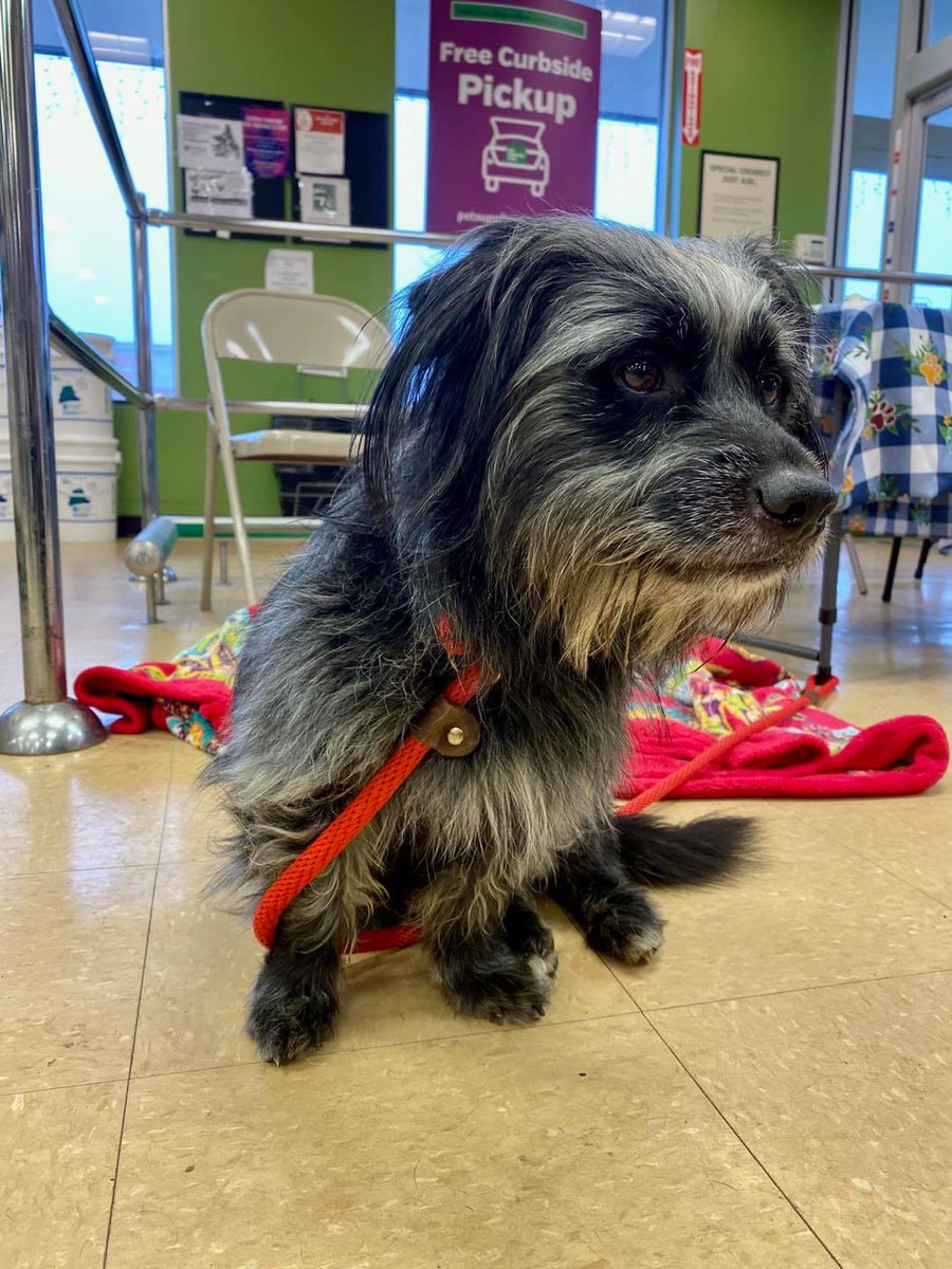 Associated Humane Societies - Newark Branch tweet media