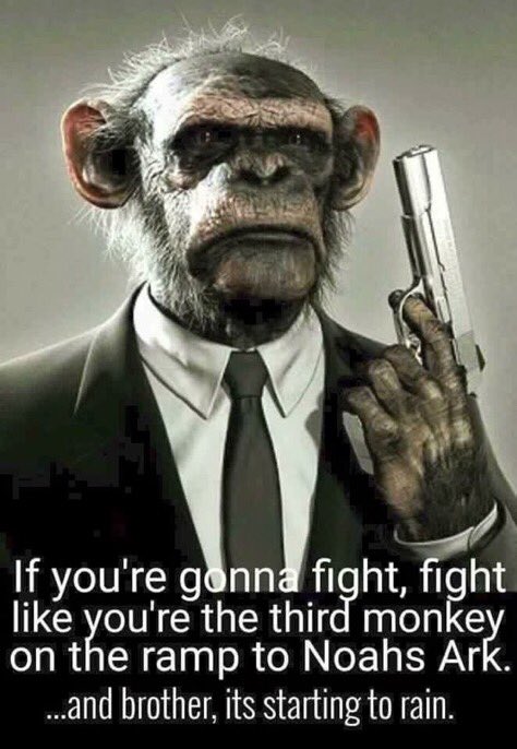 lilsasquatch66's tweet photo. https://t.co/zcWgdriBe7