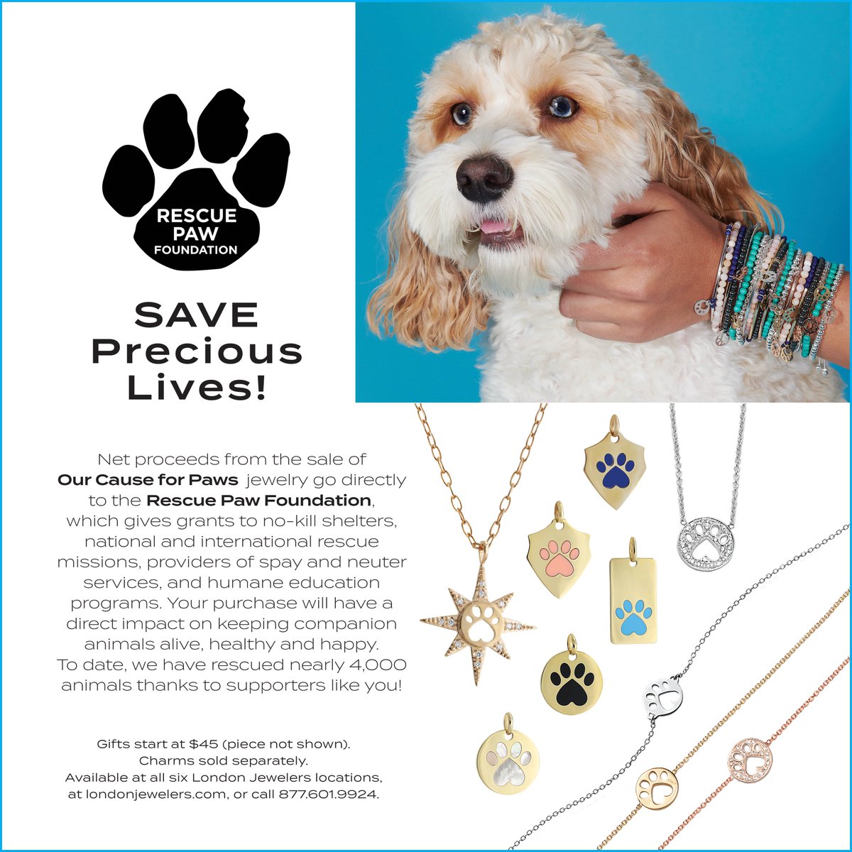 TWObyLONDON's tweet photo. Give the gift of LIFE! ❤ Click the link below to make a difference this holiday season #makeadifference  🐾🎁
https://t.co/sAqC0cTljn https://t.co/7eqOjTZruO